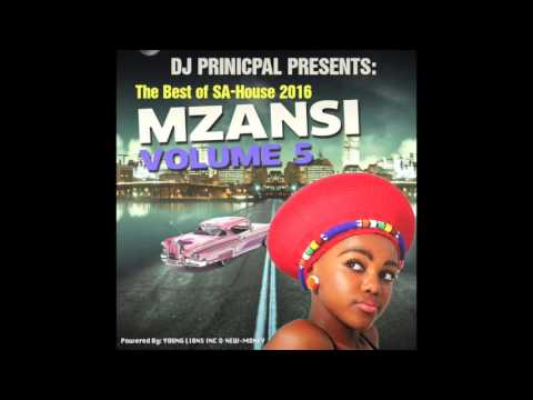 DJ Principal Presents: Mzansi Volume 5 (Afrohouse mix 2016)