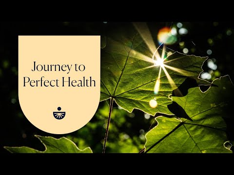 Deepak Chopra: Journey to Perfect Health: A Guided Meditation