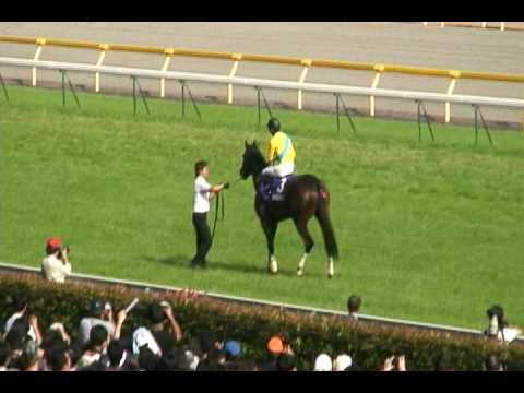 2009　安田記念　ウォッカ　YASUDA　MEMORIAL WINNING RUN ウイニング　ラン