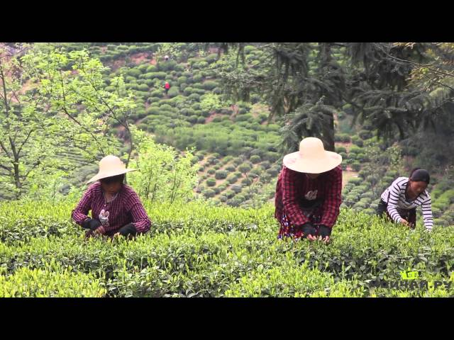 Люань, провинция Аньхой, апрель 2015. Часть 1