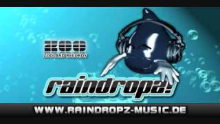 Punkrockerz - I Won't Forget You (Raindropz! Remix)