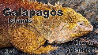 My first trip to the Galapagos Islands