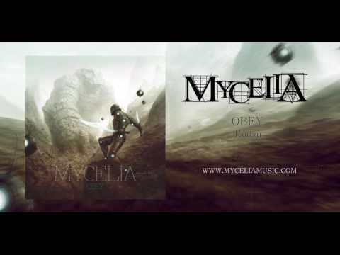MYCELIA - OBEY - Kudzu