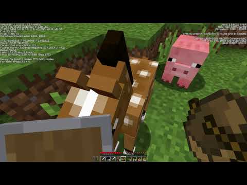 LP - Minecraft - S1E16 - Exploration achieved!