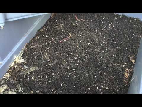 Making a worm composting 3 bin system