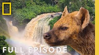 Download lagu Welcome to Africa (Full Episode) | Africa Earth's Wild Home | SPECIAL | Nat Geo Animals mp3