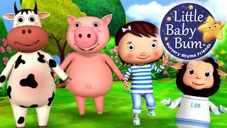 Ringa Ringa Roses | Nursery Rhymes | from LittleBabyBum!