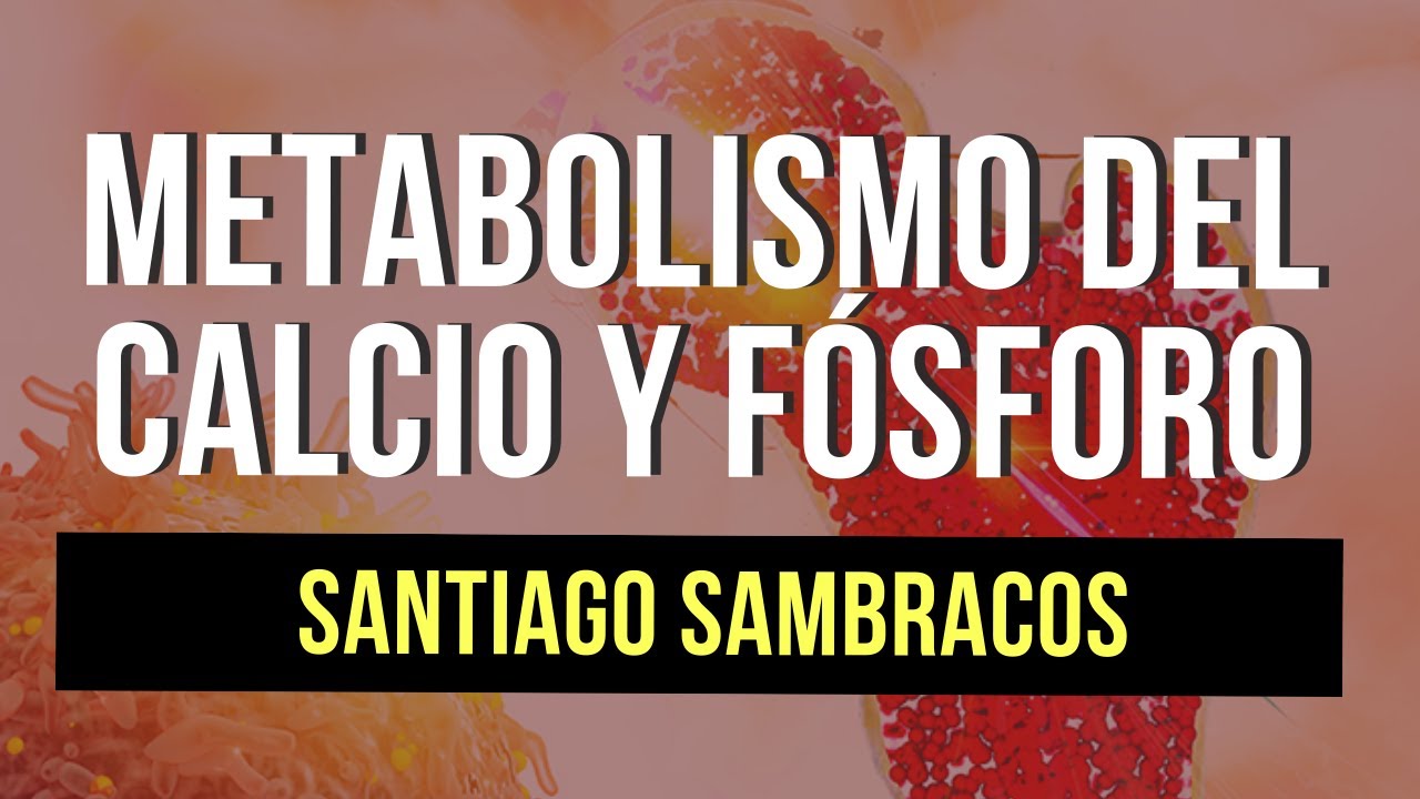 Metabolismo del Calcio y Fósforo 🧪 | Todo lo que necesitas saber