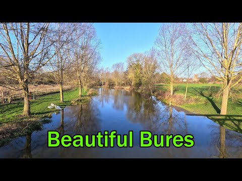 Beautiful Bures