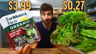 How I Grow All My Lettuce At Home (Beginners Guide)