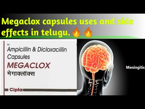 125mg ampicillin & dicloxacillin capsules