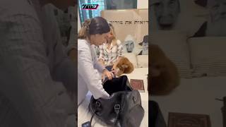 משפחתו של החטוף שגב כלפון הצטלמה כשהיא עוסקת בהכנת חדרו וקיפול בגדיו לקראת שובו הביתה. 🇮🇱🎗️ (חדשות ערוץ 7) - התמונה מוצגת ישירות מתוך אתר האינטרנט יוטיוב. זכויות היוצרים בתמונה שייכות ליוצרה. קישור קרדיט למקור התוכן נמצא בתוך דף הסרטון