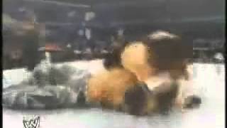 CrashMarioSonic