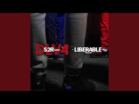 DLV #4 Libérable (prod by Waly Beats)