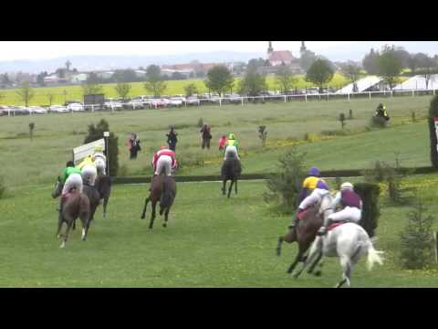 BR, 23. 4. 2016, 6. dostih - Jarní brněnská stch - Pohár hejtmana Jihomoravského kraje