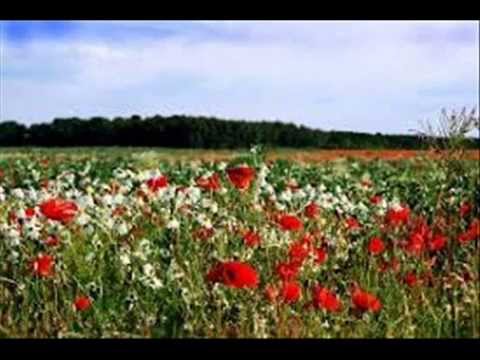 Trio Guadiana - Ó Moura Linda