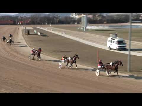 2020.02.08. 01. futam - KISKARCSI DÍJ