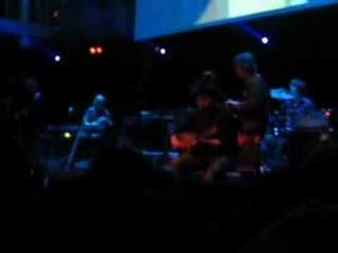 Spinvis - Het voordeel van Video