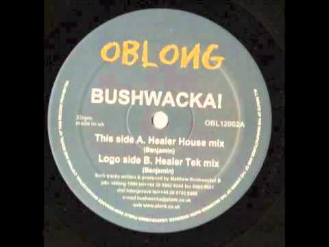 Bushwacka! – Healer
