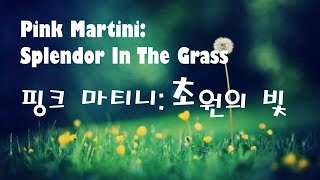 ♣Pink Martini핑크 마티니~Splendor In The Grass초원의 빛♣