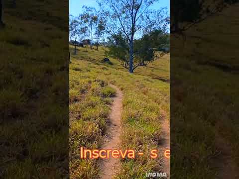 Espírito santo do Pinhal SP