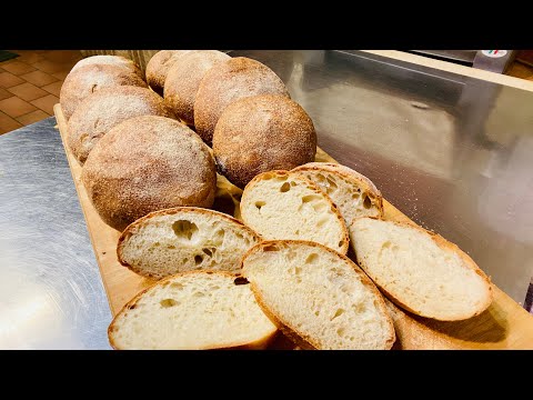 Pagnotte di pane rustico ￼