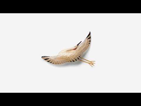Kishi Bashi Summer Of '42