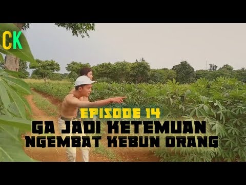 filem-komedi-preman-koplak-gagal-ketemuan-ngembat-kebun-epsd-14