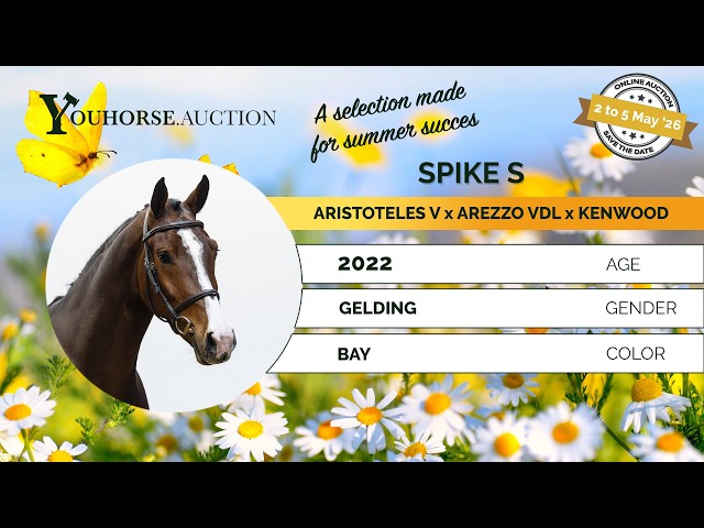 Spike S homevideo