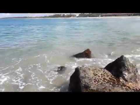 Rock of bentota Beach