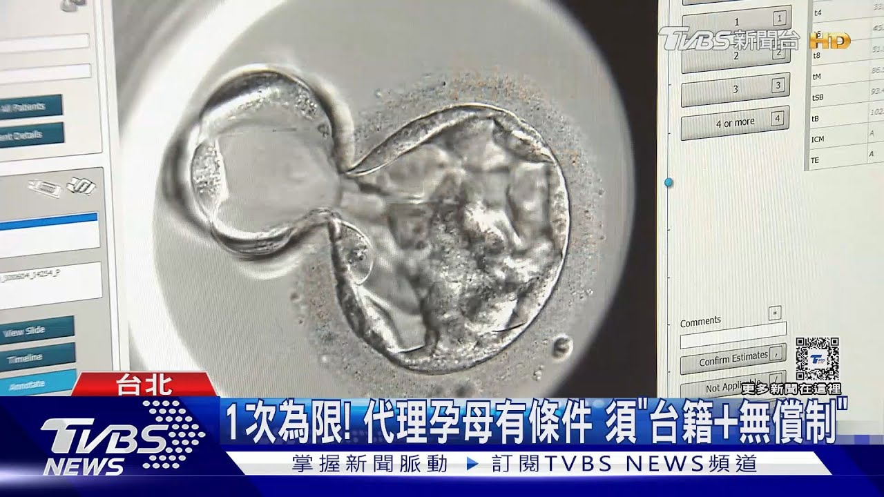免海外求子! 代理孕母「限1次、無償制」 拚合法