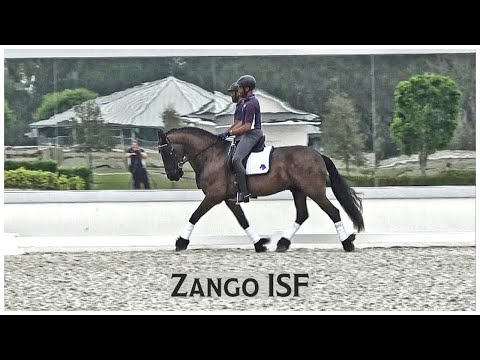 Zango ISF at ISF South, February 2020