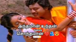 29 October 2025🙏❤️👍#அழகான குரலுக்கு லைக் பண்ணுங்க உறவுகளே🙏👍#fullsong#shortsfeed#viralvedio#ytshorts