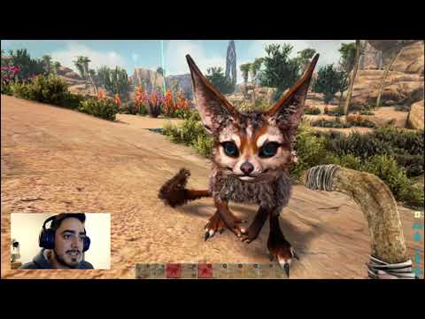 como tamear un jerboa / vaga