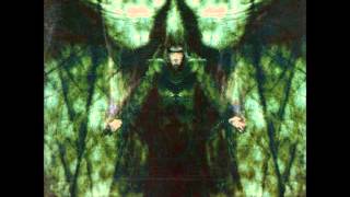 Dimmu Borgir - 05 The night masquerade