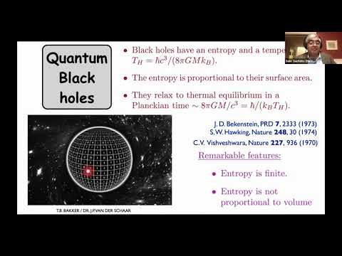 Planckian metals and black holes