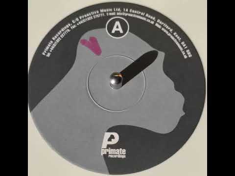 Bullet (WJ Henze Remix) (B1) [PRMT 094]