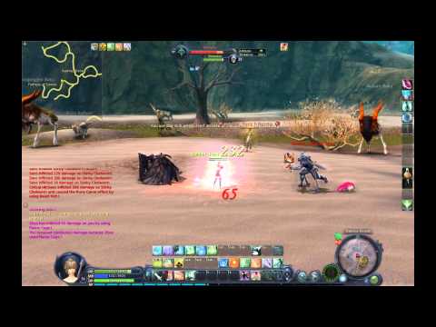 Aion 3.0 Cleric Rift Pvp