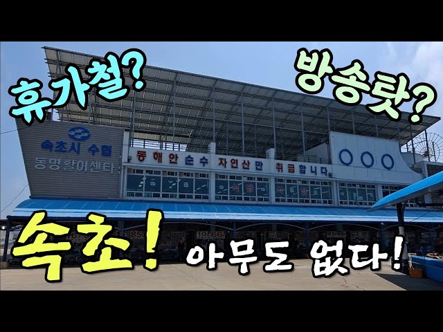 inbot seo 0.1ver