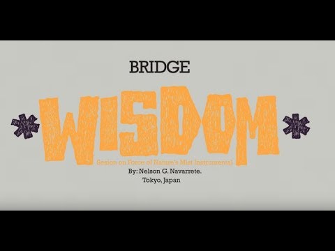 Bridge - Wisdom // Tokyo - Japan