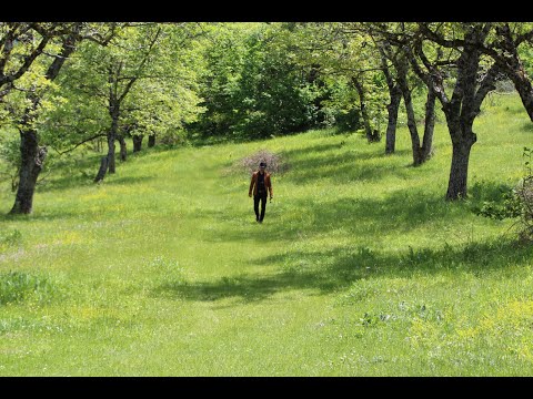 Dule Duli - Nasi sela da se vratam (official video)