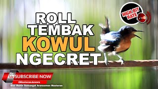 Download lagu 🔴 Masteran Roll Tembak Kolibri Wulung Jantan❗️Kowul Gacor Cetetan Necret❗️ mp3 Download lagu 🔴 Masteran Roll Tembak Kolibri Wulung Jantan❗️Kowul Gacor Cetetan Necret❗️ mp3