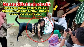 Download lagu π΄ VIRAL !! AZAB ANAK DURHAKA,BERUBAH MENJADI SE'EKOR ANJING mp3 Download lagu π΄ VIRAL !! AZAB ANAK DURHAKA,BERUBAH MENJADI SE'EKOR ANJING mp3
