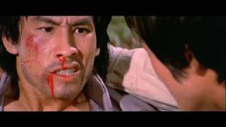 The Shadow Boxer (1974) DVD Trailer 太極拳