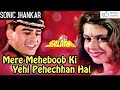 Khoobsurat Hai Wo Dil Ka Mehmaan Soni Jhankar Kumar Sanu Salaami