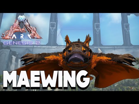 THE MAEWING!!! -- ARK: Survival Evolved :: Dino Spotlight -- NURSING BABIES AND GLIDING EVERYWHERE!!