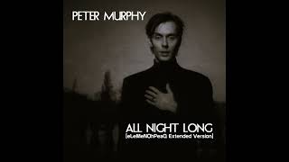 Peter Murphy - All Night Long [eLeMeNOhPeaQ Extended Version]