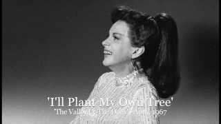 Judy Garland - 'I'll Plant My Own Tree' (The Valley Of The Dolls, 4/1967)