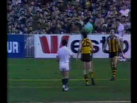 1983 VFL Qualifying Final - closing moments