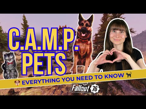 New C.A.M.P. Pets in Fallout 76: Everything You Need to Know! Full Guide 😺 Season 19 Gleaming Depths